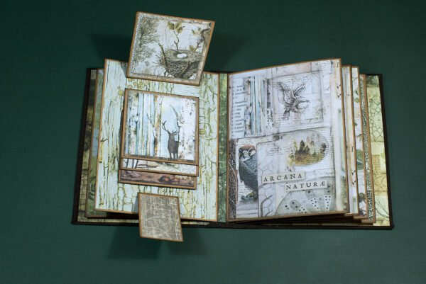_DSC7242 Álbum scrapbooking con tema "BOSQUE"