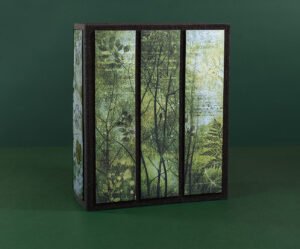 Álbum de recortes de Bosque